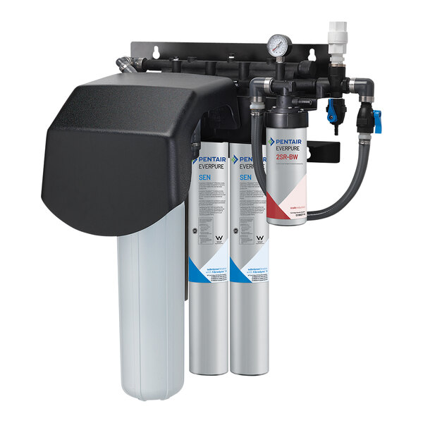 An Everpure water filtration system with three filters, including a pre-filter and scale reduction filter.