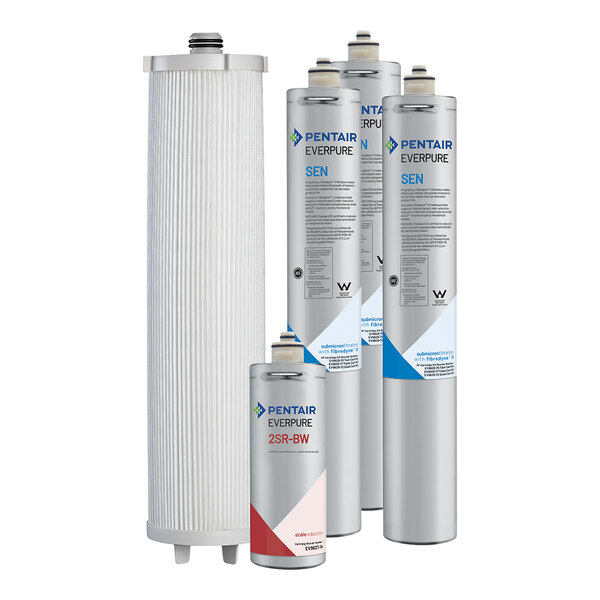 A white Everpure water filter container with three silver cartridges, each with blue and red labels.