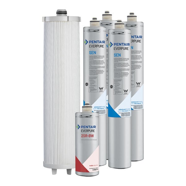 A white and black box containing four silver Everpure water filter cartridges with blue and red labels.