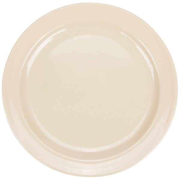 A white Thunder Group Nustone melamine plate with a narrow rim.