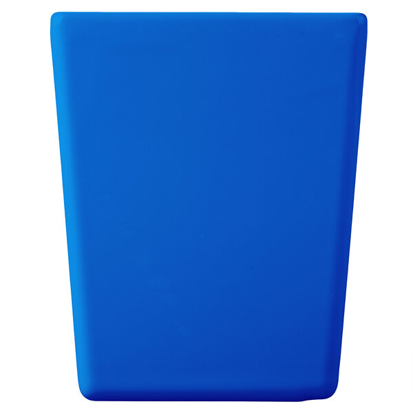 A blue rectangular object with a white border.