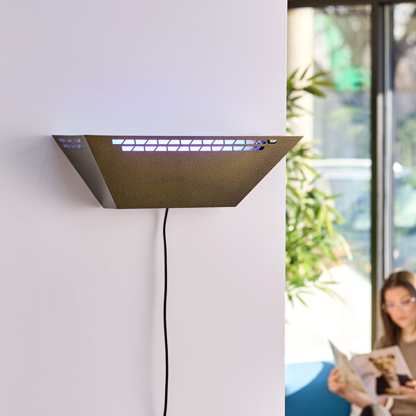 Lavex Zap N Trap Gold Wall Sconce Insect Light Trap with 2 Glue Boards, 1500 sq. ft. Coverage - 120V, 30W