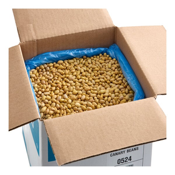 A large open cardboard box filled with dried Mayocoba beans lined with a blue plastic bag.