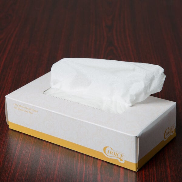 Simply Supplies  Guest Choice Facial Tissue, Flat Box, 2-ply, 100