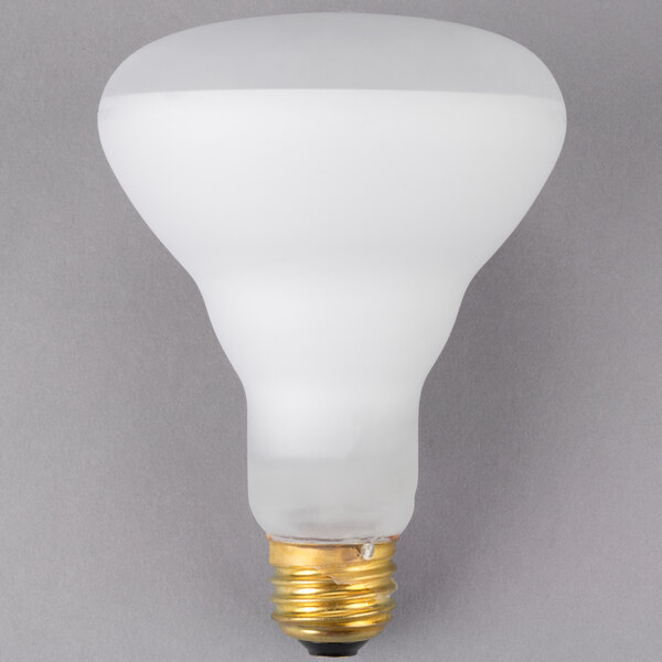 A Carnival King frosted flood light bulb with a white light.