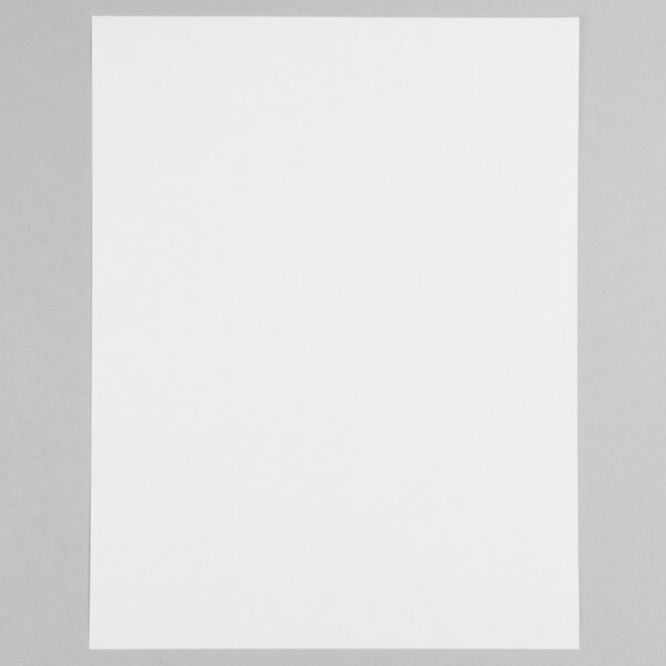 Avery 18665 8 1/2" x 11" Clear FullSheet Shipping Labels 10/Pack