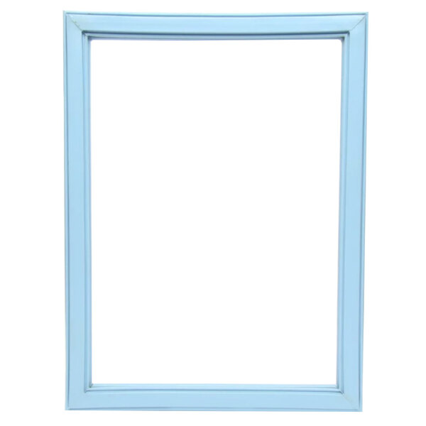 A blue rectangular frame with a white background containing a Delfield Equivalent Magnetic Door Gasket.