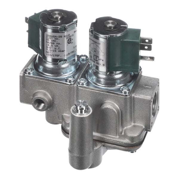 A metal device with two Groen 123815 gas valves.