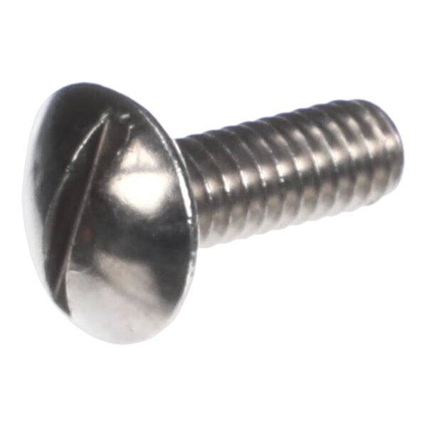 A stainless steel slotted truss head screw, sized 1/4-20 x 3/4 inch.