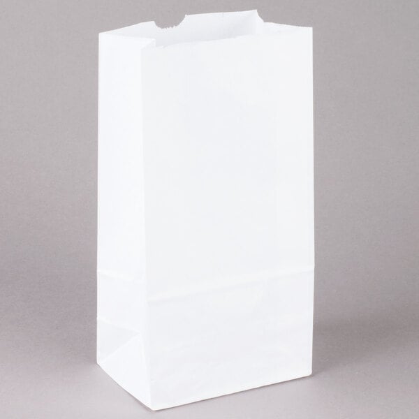Duro 6 Lb White Paper Bag 500 Bundle Image Preview Main Picture