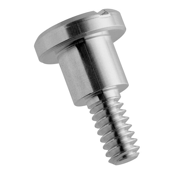 A silver screw with a round metal head.