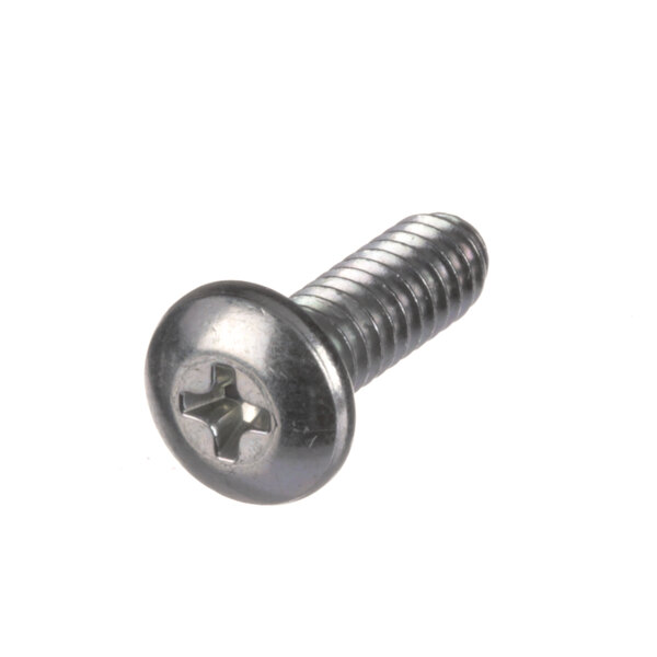 A close-up of a US Range Garland screw.