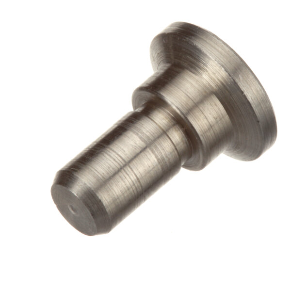 A stainless steel threaded locator pin.