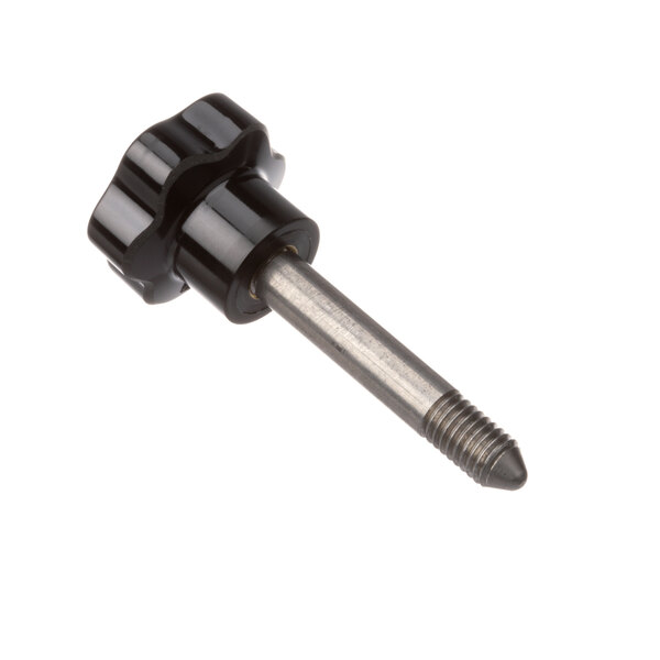 A close-up of a silver screw with a black knob.