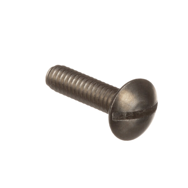 A close-up of a Champion screw.