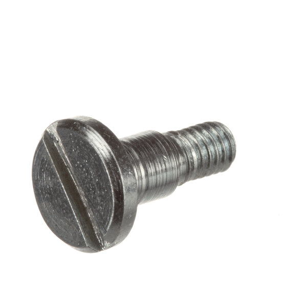 A close-up of a Globe 10-C sharpener screw with a metal head.