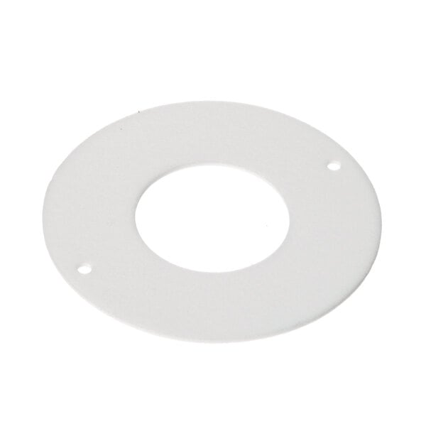 A white round gasket with holes in it.