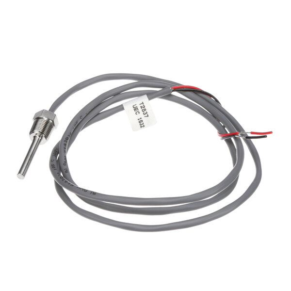 A Champion thermistor with wires and a wire lead.