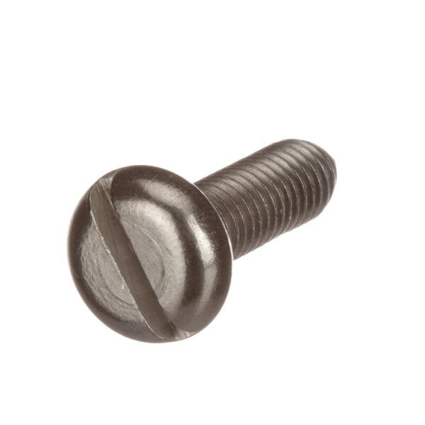 A close-up of a Champion bolt.