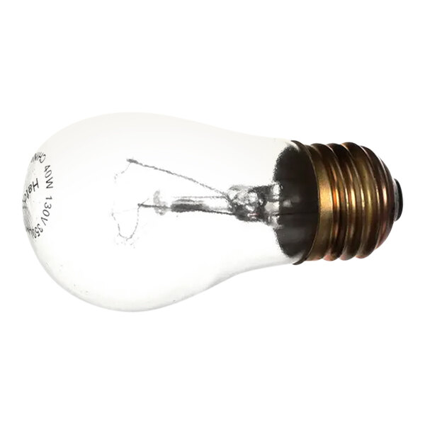 A Barker coated light bulb with a small bulb inside.