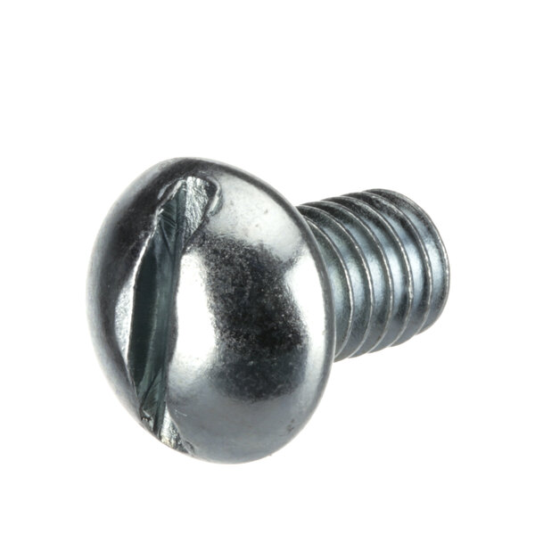 A close-up of a Hobart screw with a metal head.