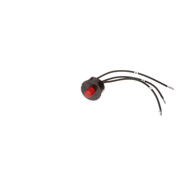 The reset switch for an InSinkErator SS-150 motor with red and black wires and a round black and red button.