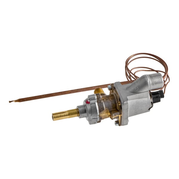Wells 2T-Z13362 Gas Control Valve