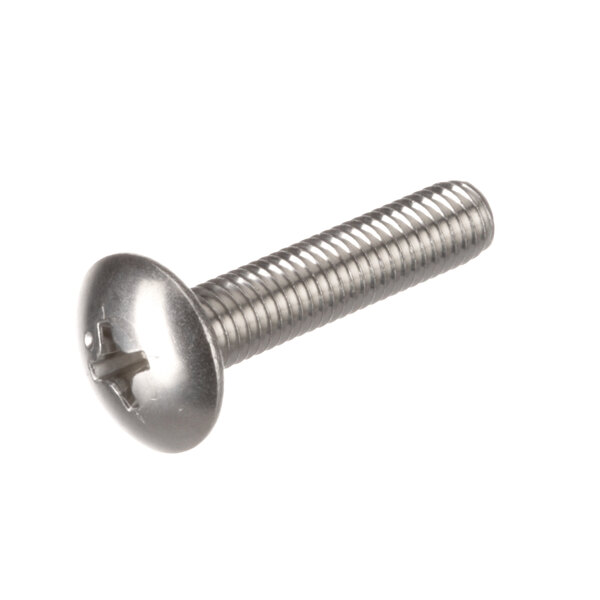 A close-up of a Hoshizaki truss head screw.