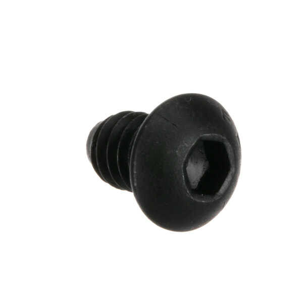 A close-up of a Globe black screw with a hexagon head.