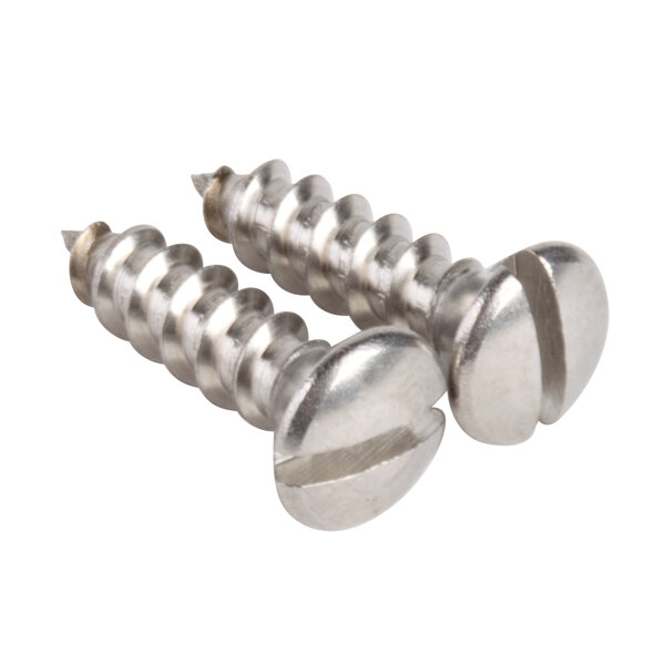 A close-up of two stainless steel screws.