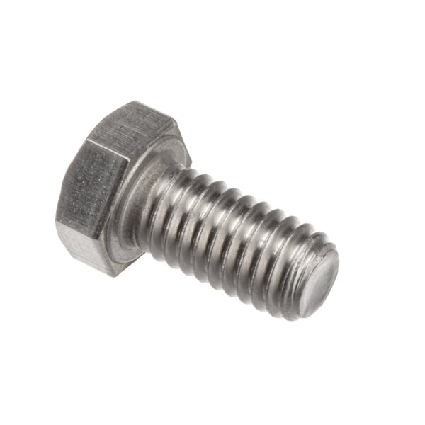 A close-up of a Blakeslee screw with a hex head.