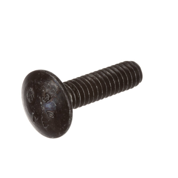 A close-up of a black carriage bolt.