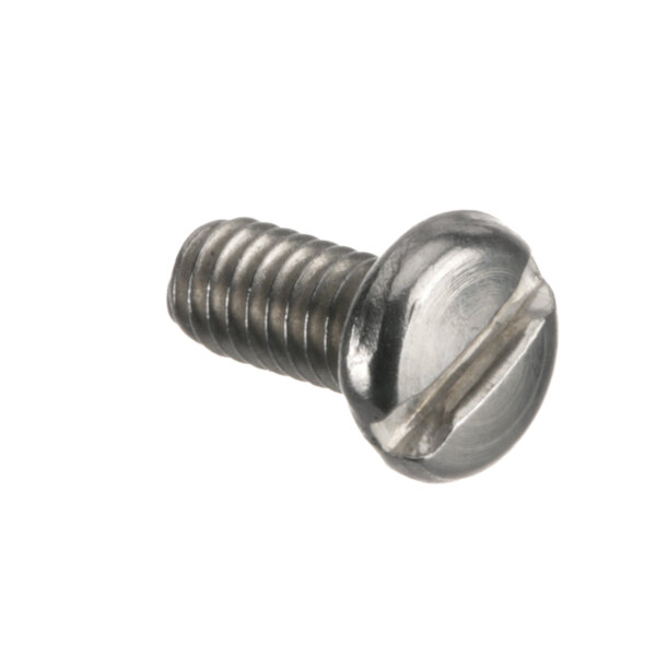 A close-up of a Hobart SC-093-03 screw.