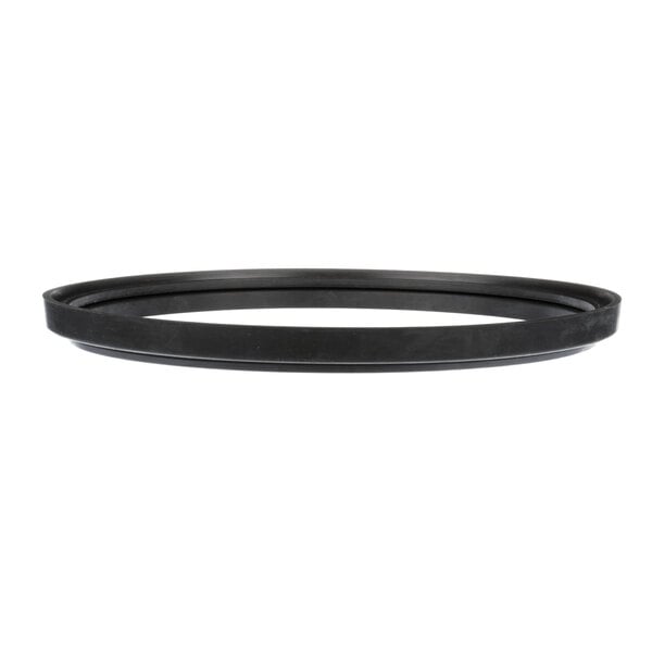 A black InSinkErator rubber seal.