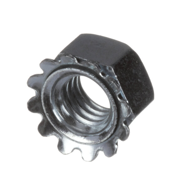 A close-up of a Groen nut with a metal ring.