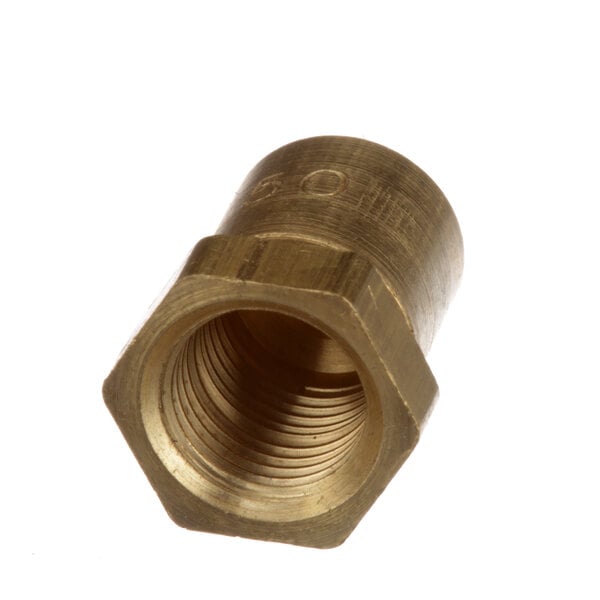 A close-up of a brass threaded nut.