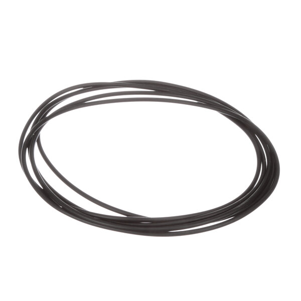 A close-up of a black rubber Rational O-Ring.
