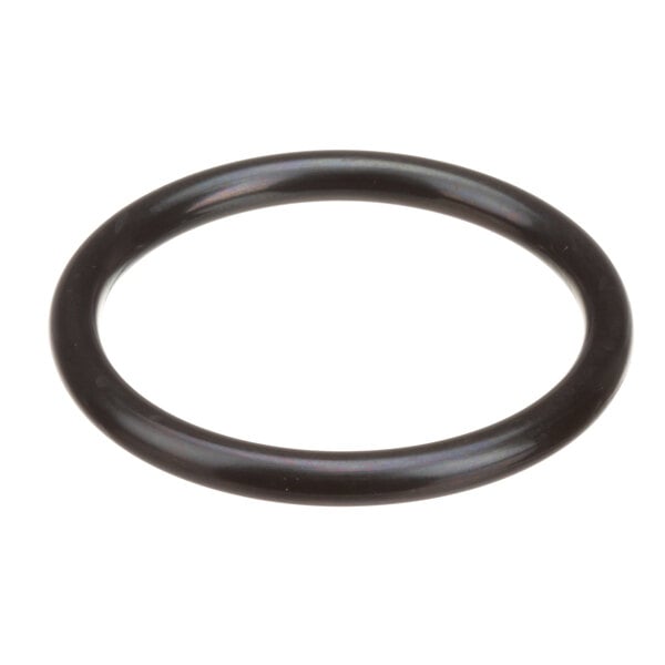 A black round Alto-Shaam O-ring.