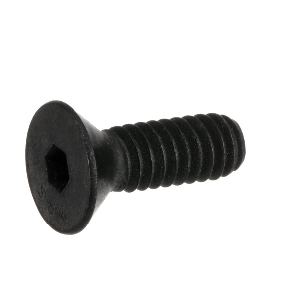 A close-up of a black Henny Penny screw with a hexagon head.
