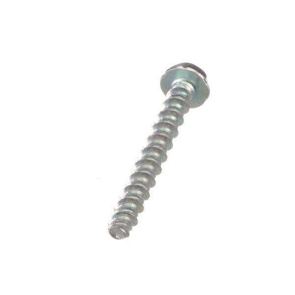 A close-up of a Hobart SD-038-19 screw on a white background.