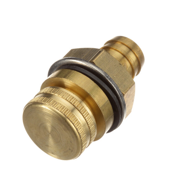 A close-up of a brass Cleveland Port Asy Descaler hose connector.