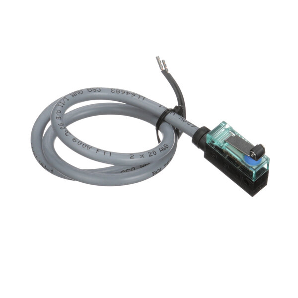 A grey cable with a small switch and a plug.