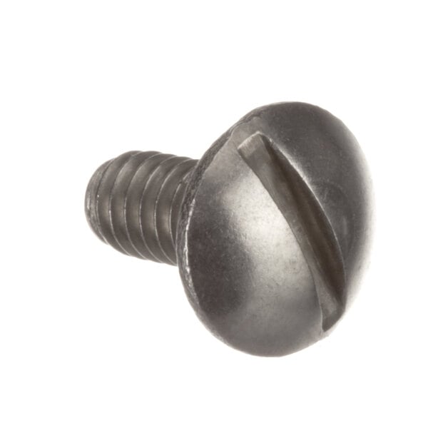 A close-up of a Cleveland stainless steel slotted screw with a metal head.