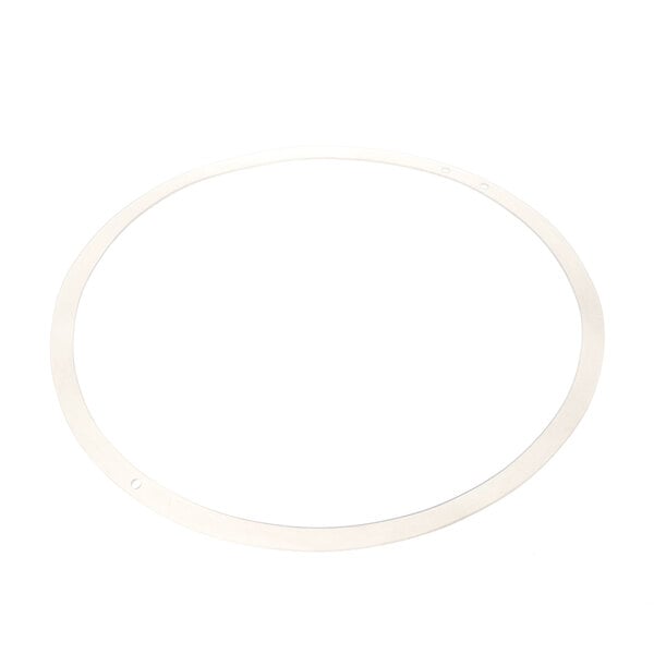 A white circular gasket with holes.