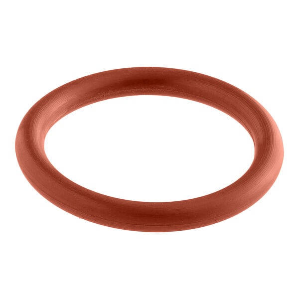 An orange rubber Vulcan O-Ring.