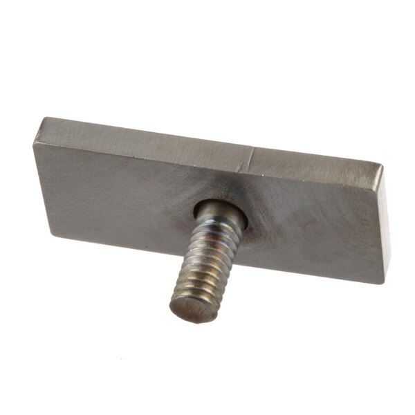 A close-up of a stainless steel screw with a screw head.