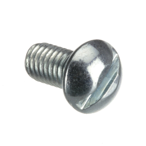 A close-up of a Hoshizaki screw with a shiny metal head.