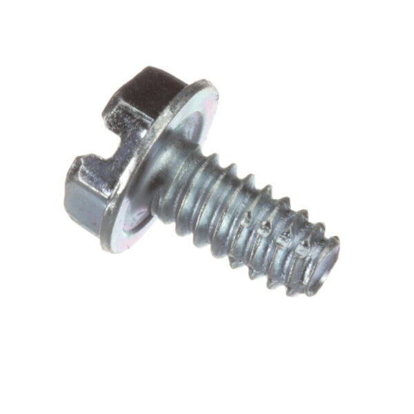 A close-up of a Pitco screw with a metal head.