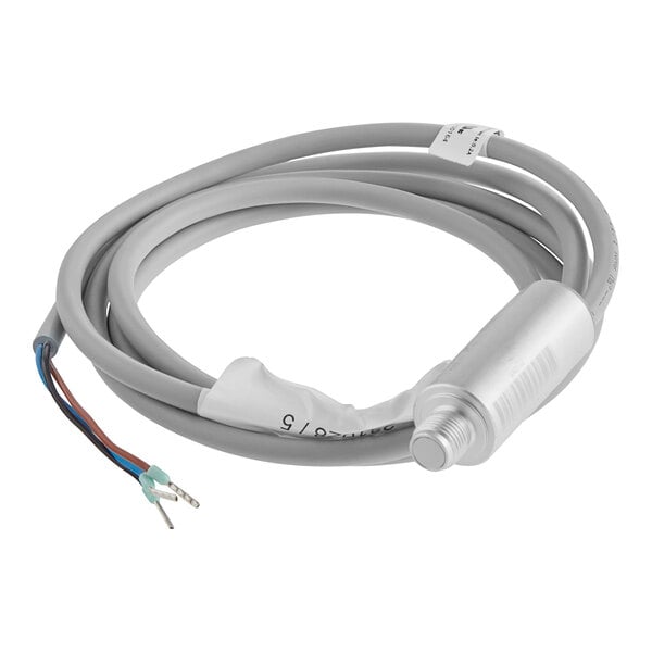 A close-up of a grey cable with red and blue wires.