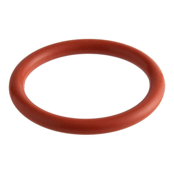 An orange rubber O-ring with a white background.